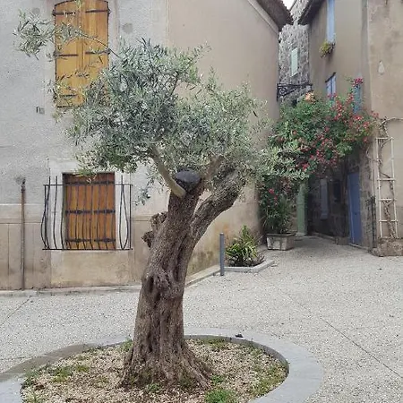 Apartment Les Palmiers *